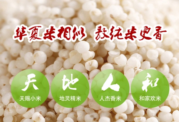 赤峰敖漢奶茶店電話號碼多少-第1張圖片