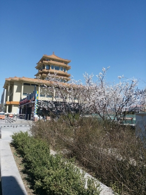 赤峰紅山區(qū)買菜配送電話號碼-第1張圖片