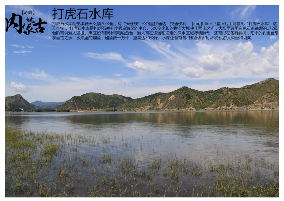 赤峰天義鎮(zhèn)政府官網(wǎng)電話(huà)號(hào)碼-第1張圖片