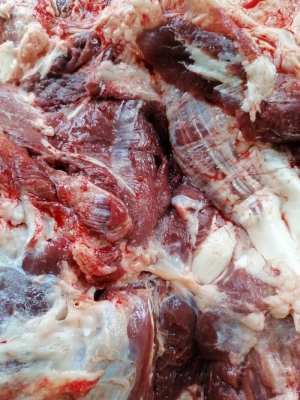 赤峰賣鮮驢肉電話多少號啊-第1張圖片