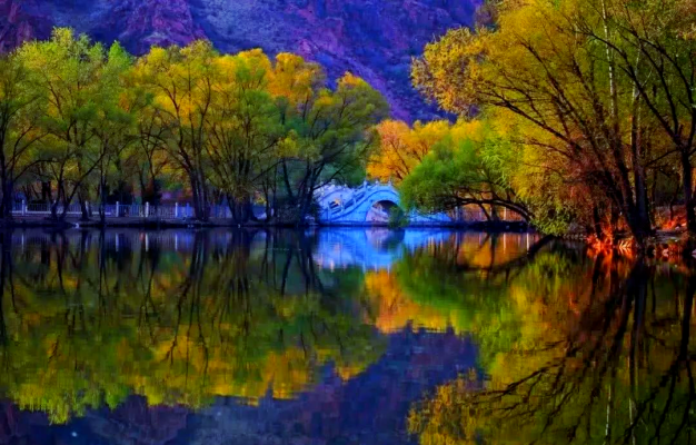 赤峰橋北賣豬肉的地方電話號碼-第1張圖片