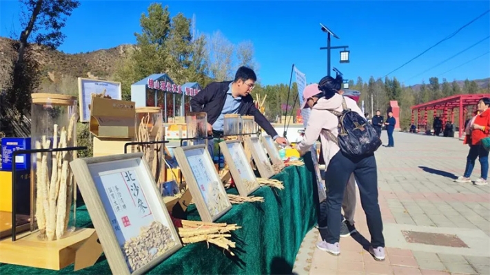 赤峰喀喇沁文旅局電話號(hào)碼-第1張圖片