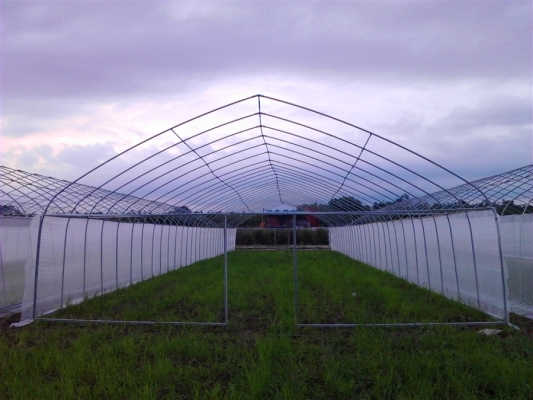 赤峰五寸農(nóng)用管廠家電話號碼-第1張圖片