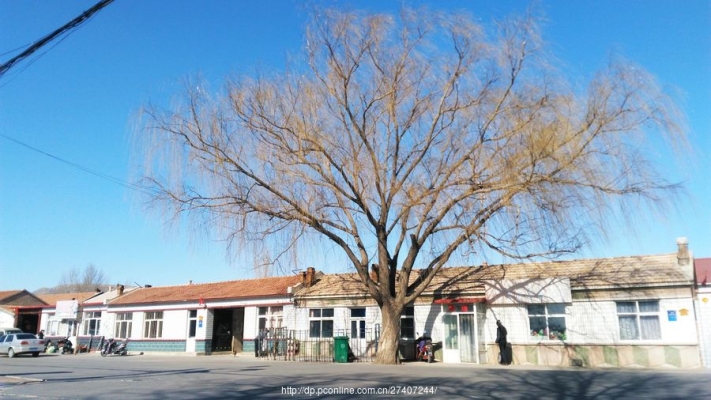 赤峰市紅廟子國(guó)資委電話號(hào)碼-第1張圖片