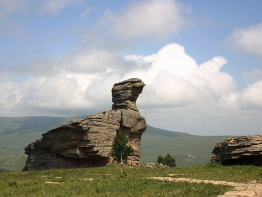 赤峰日升通訊店電話(huà)號(hào)碼查詢(xún)-第1張圖片