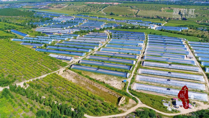 赤峰潤隆犬舍電話號碼多少-第1張圖片