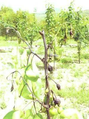 赤峰動植物檢疫中心電話號碼-第1張圖片