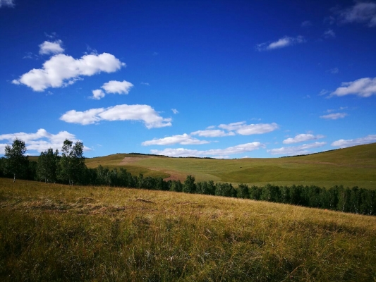 赤峰去白音華客車電話-第1張圖片