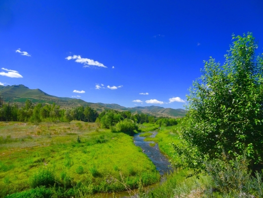 赤峰小豬班納電話號碼查詢是多少-第1張圖片