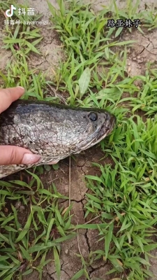 赤峰路亞釣場電話號碼多少號-第1張圖片