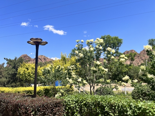 赤峰軍臣洗車店電話多少號-第1張圖片