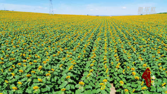 赤峰康緹風(fēng)尚店電話多少號(hào)-第1張圖片