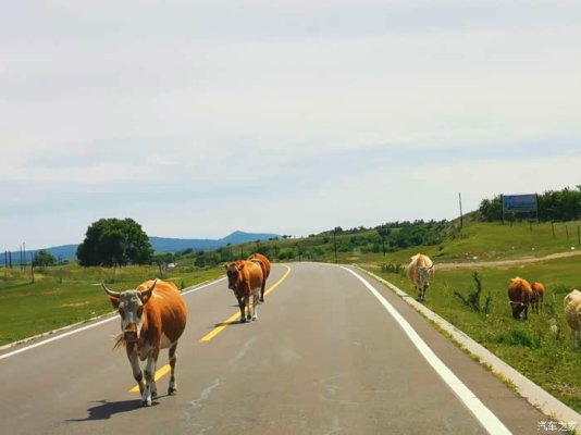 赤峰到白斯朗營子客車-第1張圖片