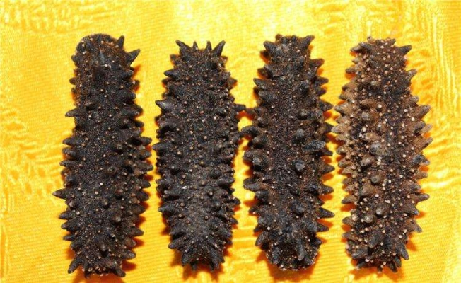 赤峰二手魚竿回收店電話號碼-第1張圖片