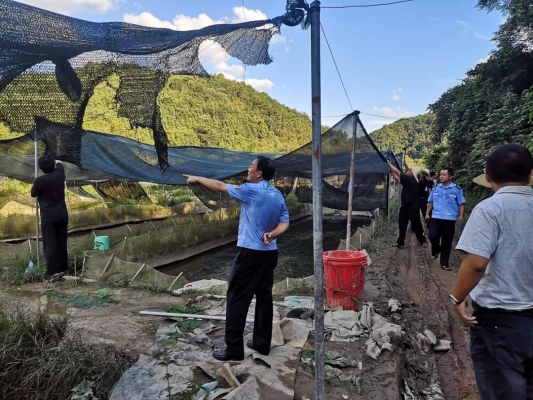 赤峰牛蛙養(yǎng)殖場(chǎng)電話多少號(hào)-第1張圖片