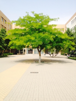 赤峰二手塑料罐市場(chǎng)電話號(hào)碼-第1張圖片