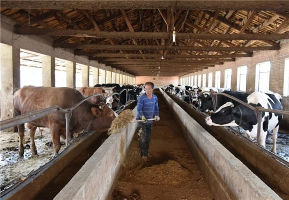 赤峰動(dòng)物實(shí)驗(yàn)臺(tái)電話多少號(hào)-第1張圖片