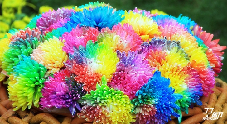 赤峰炫彩養(yǎng)生館電話號(hào)碼查詢-第1張圖片