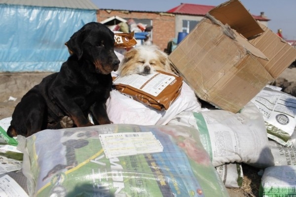 赤峰新救助站電話號(hào)碼是多少-第1張圖片