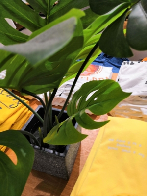 赤峰紫萱花坊電話號(hào)碼多少-第1張圖片