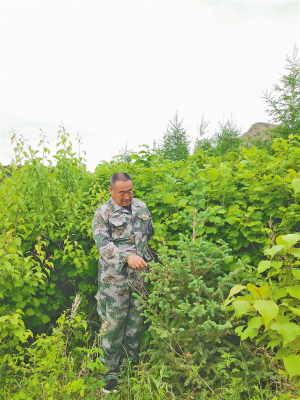 赤峰新城區(qū)林業(yè)局電話號(hào)碼-第1張圖片