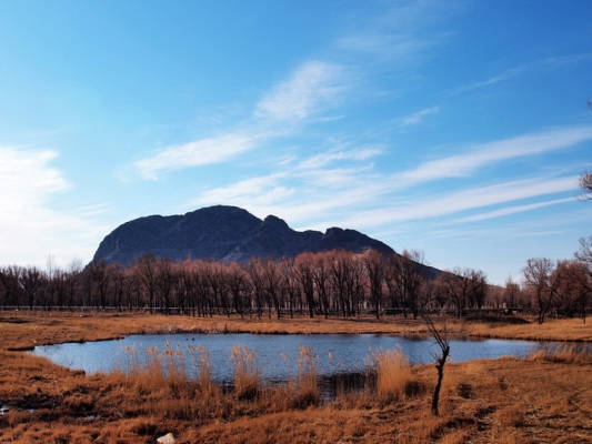 赤峰海龍汽修廠(chǎng)電話(huà)號(hào)碼多少-第1張圖片