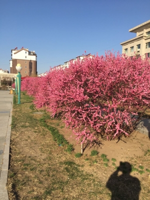 赤峰市林西縣農(nóng)電電話號碼-第1張圖片