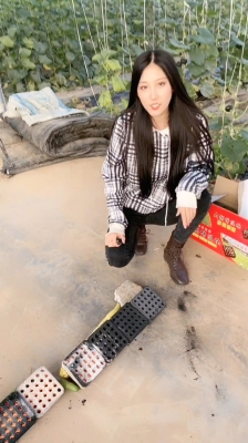 赤峰大棚增溫塊批發(fā)電話號碼-第1張圖片