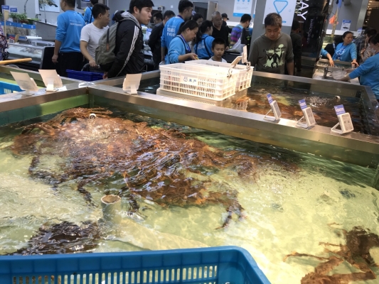 赤峰路盒馬店?duì)I業(yè)時(shí)間電話號碼-第1張圖片