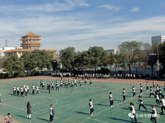 赤峰市崗臺小學(xué)官網(wǎng)電話號碼-第1張圖片