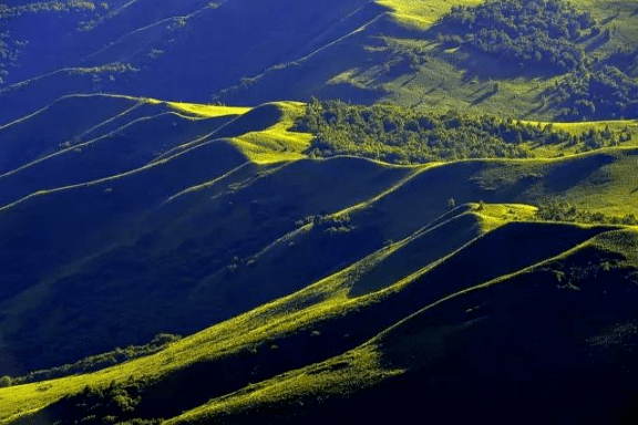 赤峰罕山鹿肉館電話多少號-第1張圖片