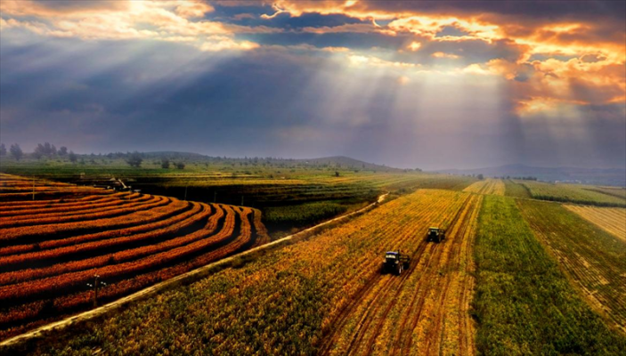 赤峰宏邦農(nóng)牧業(yè)招聘電話號碼-第1張圖片