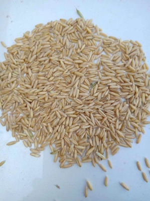 赤峰牙杯批發(fā)電話(huà)多少號(hào)-第1張圖片