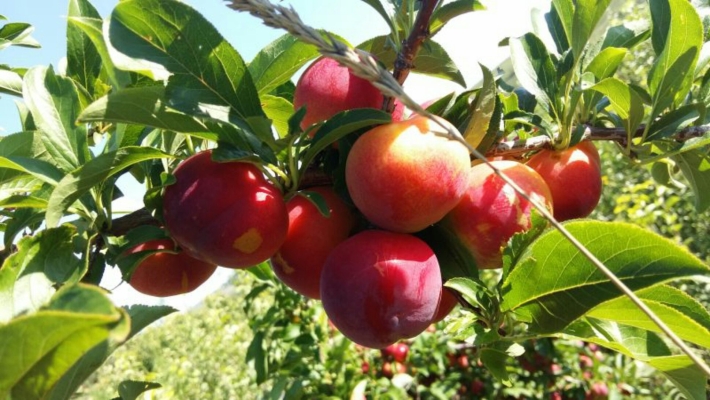 赤峰經(jīng)棚早餐店電話號碼查詢-第1張圖片