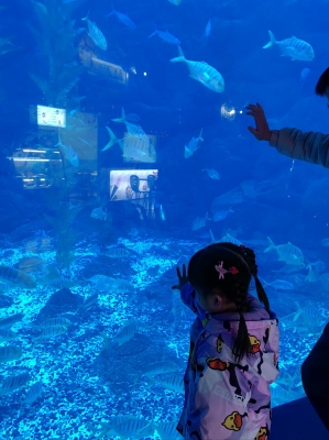 赤峰海辰海洋樂園團(tuán)購電話號碼-第1張圖片