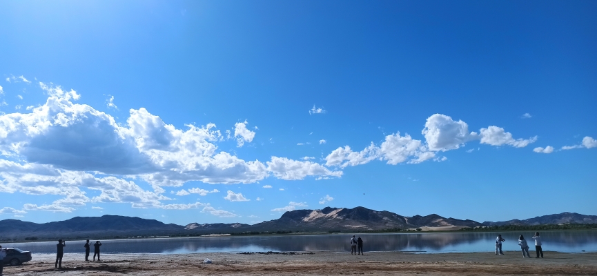 赤峰市久候酒館電話(huà)號(hào)碼查詢(xún)-第1張圖片