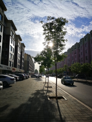 赤峰紅山區(qū)聯(lián)通寬帶電話號碼-第1張圖片