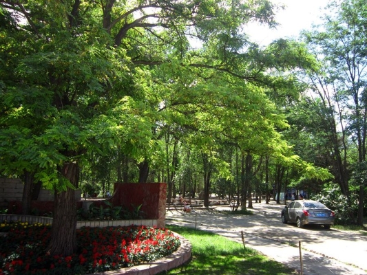 赤峰植物園門衛(wèi)電話號碼是多少-第1張圖片