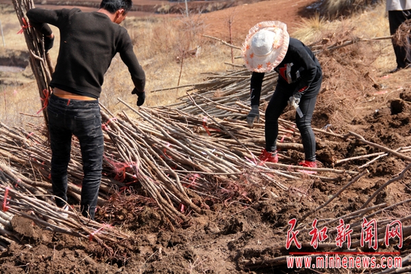 赤峰市甘溝鄉(xiāng)政府電話號(hào)碼-第1張圖片