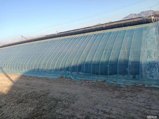 赤峰求購(gòu)?fù)恋仉娫捥?hào)碼多少號(hào)-第1張圖片