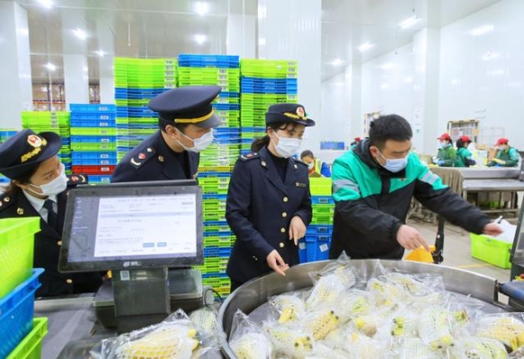 赤峰市場買菜電話地址是多少號-第1張圖片