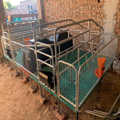 赤峰母豬廠家電話號碼查詢-第1張圖片