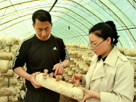 赤峰林西砂石廠電話多少號-第1張圖片