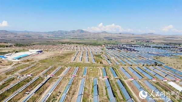 赤峰大棚建設(shè)施工隊電話號碼-第1張圖片