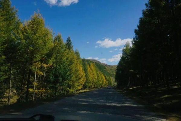 赤峰市錦山輪胎店電話號碼-第1張圖片