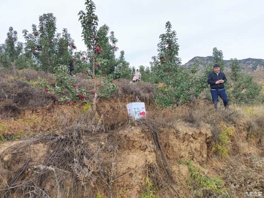 赤峰市越野車隊(duì)電話號(hào)碼-第1張圖片