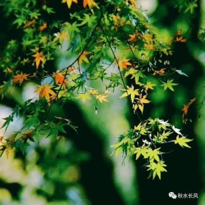 赤峰白柳購(gòu)物中心電話號(hào)碼-第1張圖片