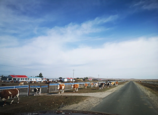 赤峰到西烏旗多少公里?-第1張圖片