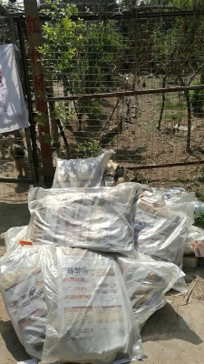 赤峰市流浪救助站電話號碼-第1張圖片