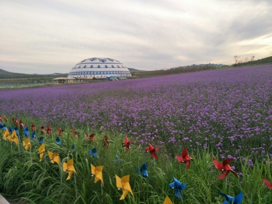赤峰市天山定制戒指店電話號碼-第1張圖片